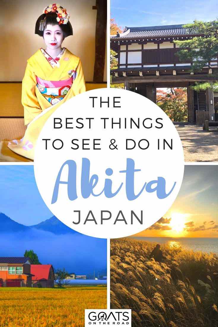 akita highlights with text overlay the best things to see and do