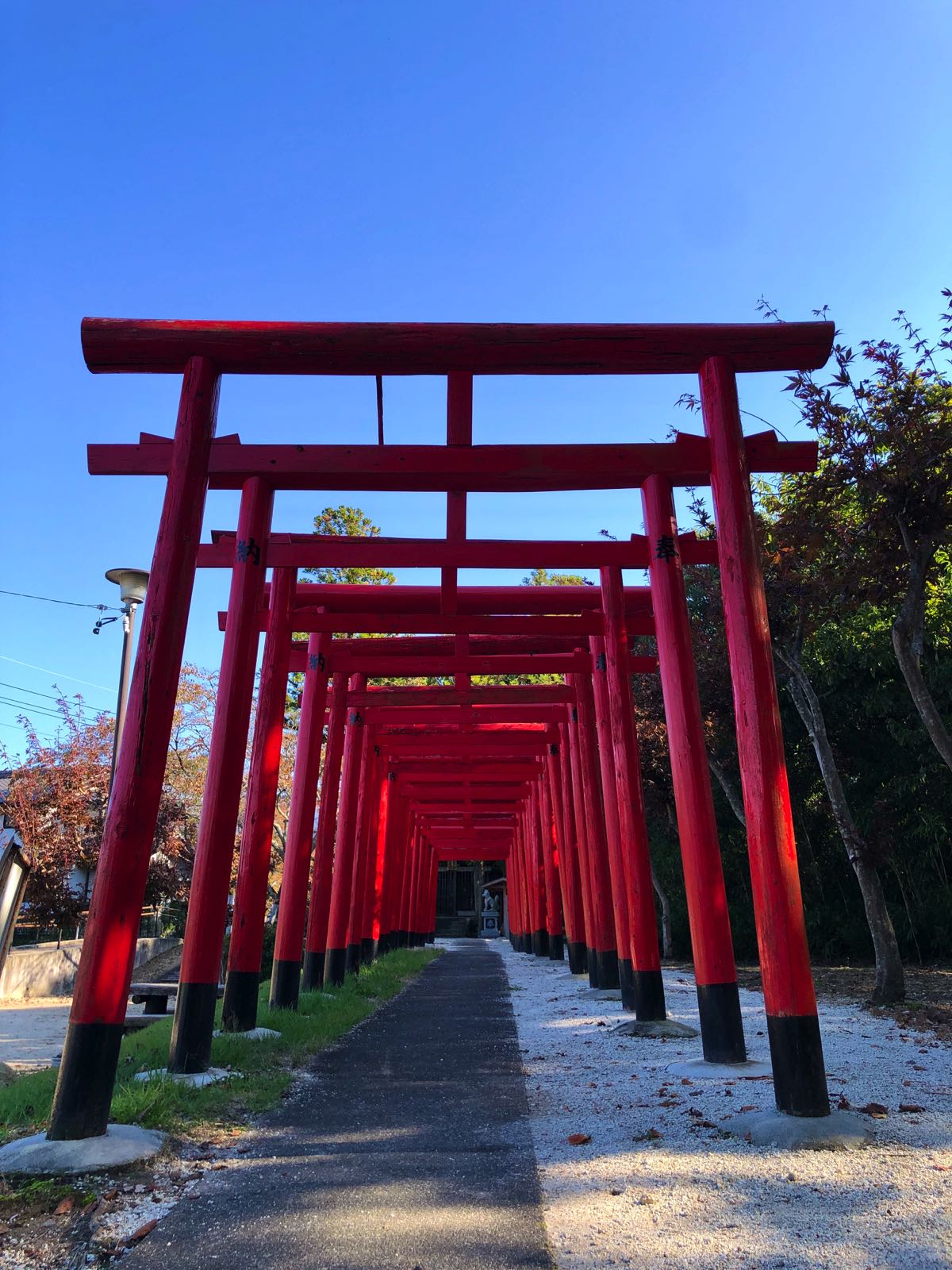 torii gates nakatsugawa