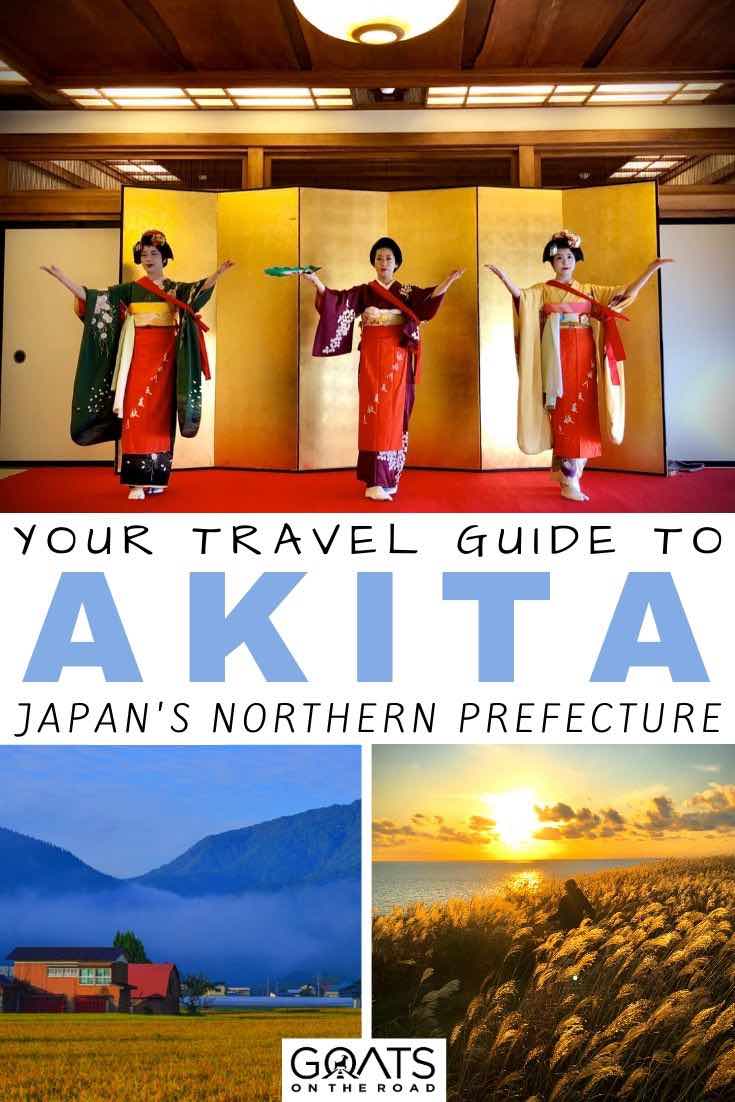 akita with text overlay your travel guide