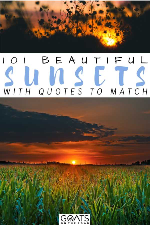 “101 Beautiful Sunsets With Quotes To Match