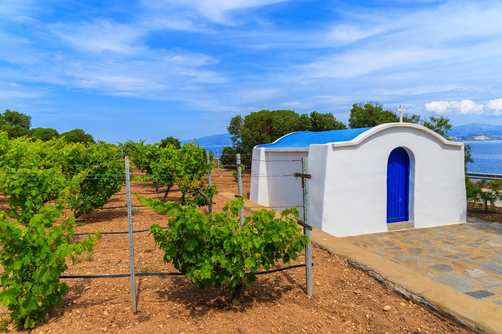 visit a vineyard things to do in santorini