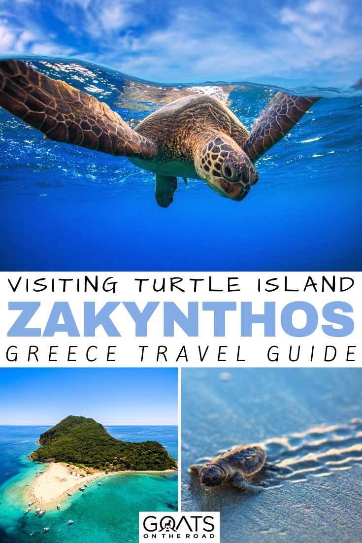 turtle with text overlay visiting turtle island zakynthos