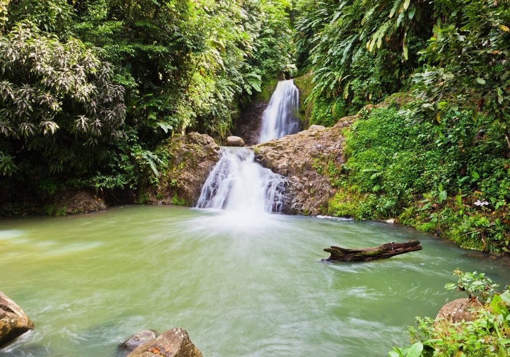 seven sisters waterfalls things to see in grenada