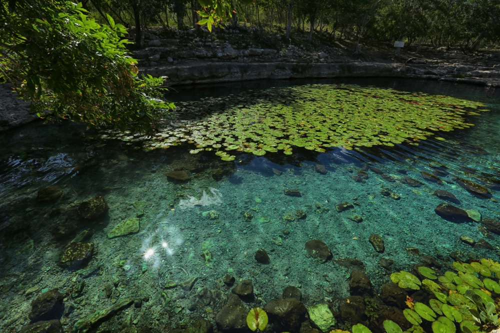 cenote near Dzibilchaltun ruins