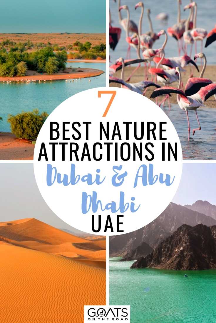7 Best Nature Attractions in Dubai & Abu Dhabi