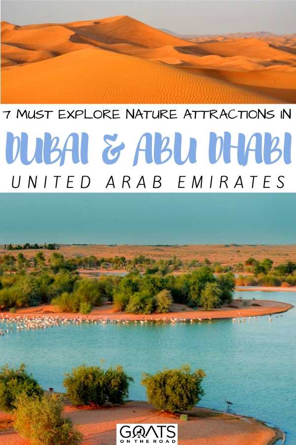 “7 Must Explore Nature Attractions in Dubai & Abu Dhabi