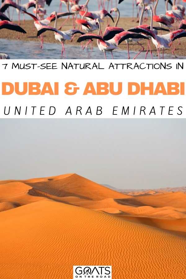 “7 Must-See Natural Attractions in Dubai and Abu Dhabi