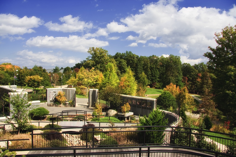 Fun Asheville activities include visiting the Arboretum