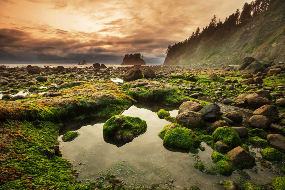 olympic national park washington seattle in two days