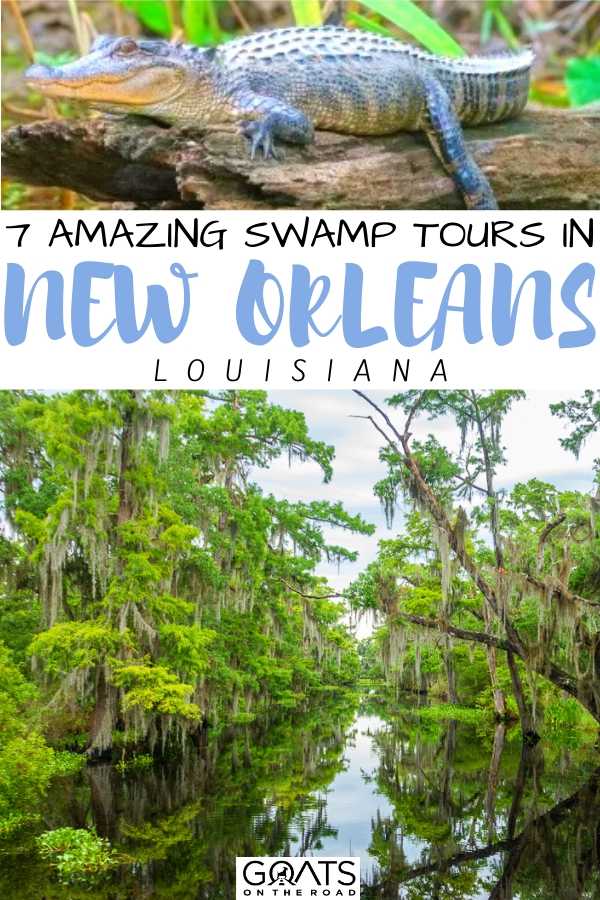Discover these 7 amazing swamp tours in New Orleans with this collection of useful reviews. Includes steam boats, kayaks and what to bring on a swamp tour. See how you can possibly touch a swamp alligator or see your guide wrestle one! | #traveltips #bucketlist #NewOrleans “7 Amazing Swamp Tours in New Orleans