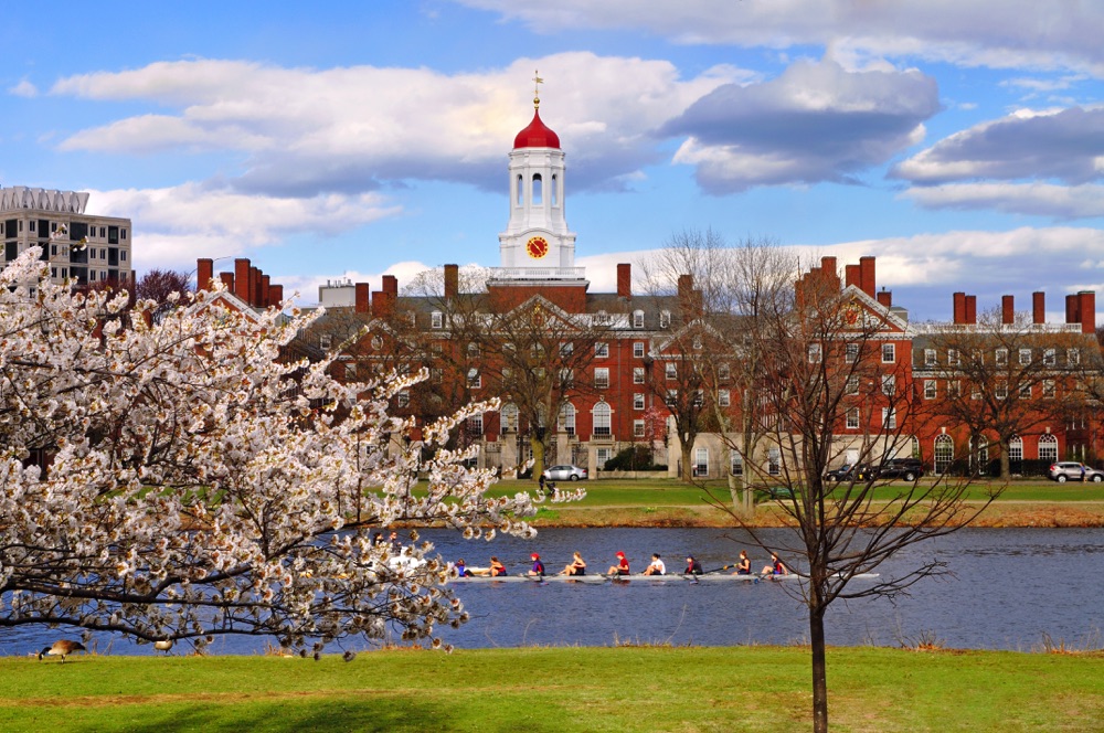 Weekend in Boston: The Good 2 Day Itinerary for 2023 10 Rowers on the river and cherry blossoms at Harvard on a weekend in Boston