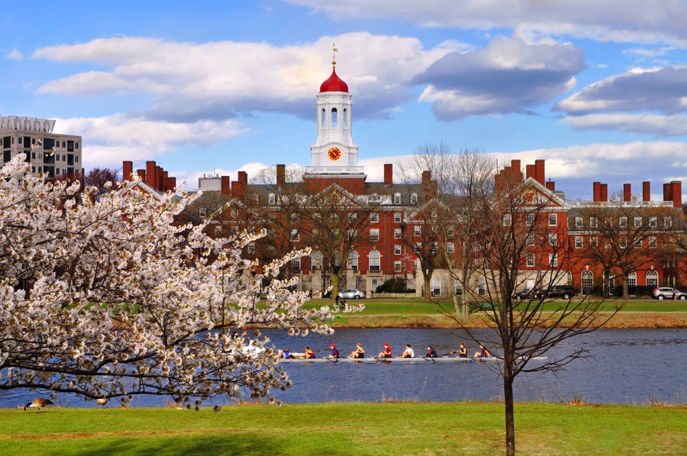 Rowers on the river and cherry blossoms at Harvard on a weekend in Boston