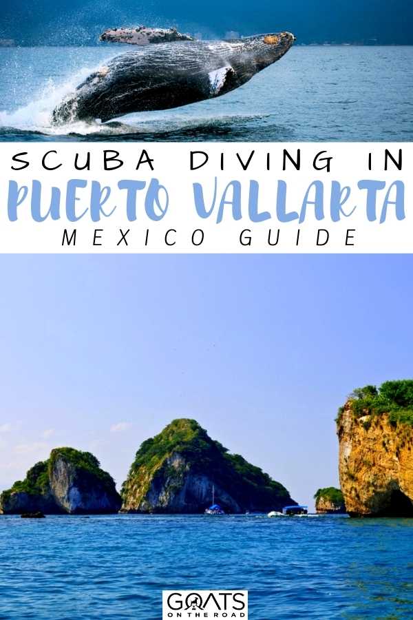 “Scuba Diving in Puerto Vallarta, Mexico