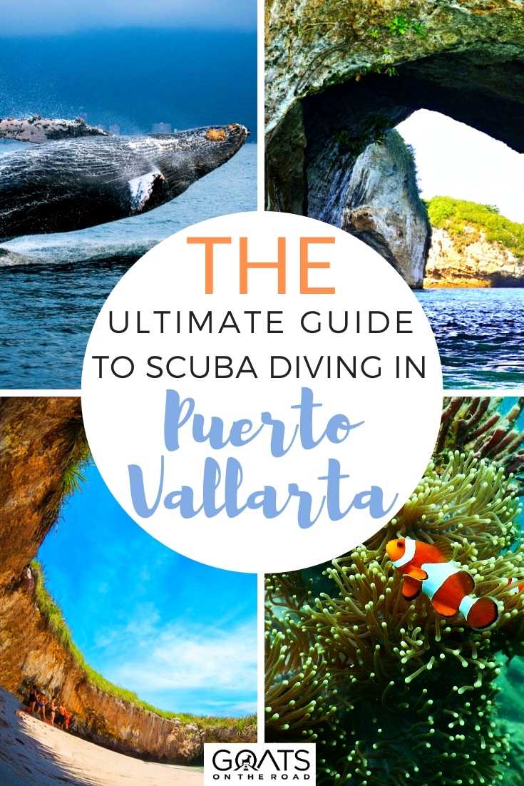 The Ultimate Guide To Scuba Diving in Puerto Vallarta