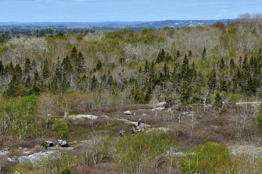 hiking in nova scotia at the bluffs wilderness