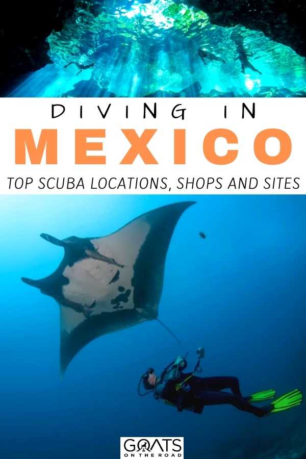 “Diving in Mexico: Top Scuba Locations, Shops and Sites
