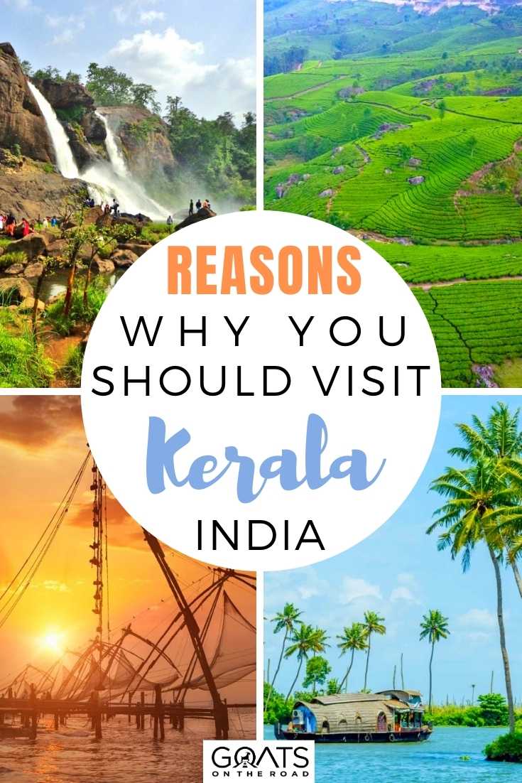 Reasons Why You Should Visit Kerala, India