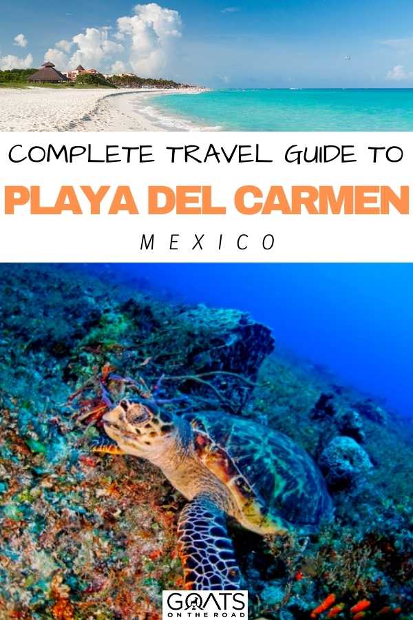 “Complete Travel Guide To Playa del Carmen, Mexico
