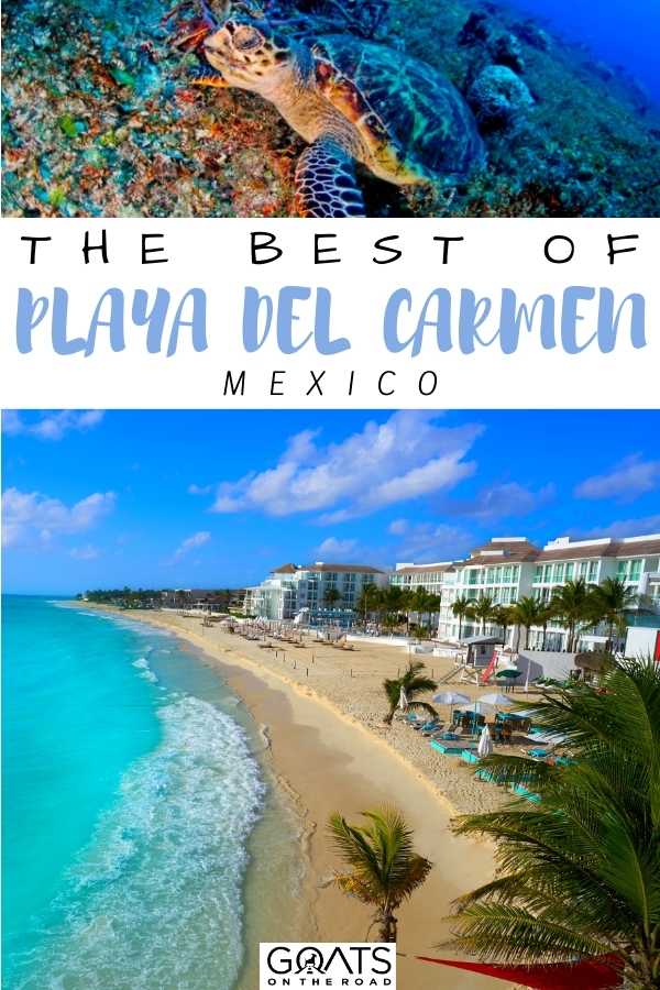 “The Best Of Playa del Carmen, Mexico