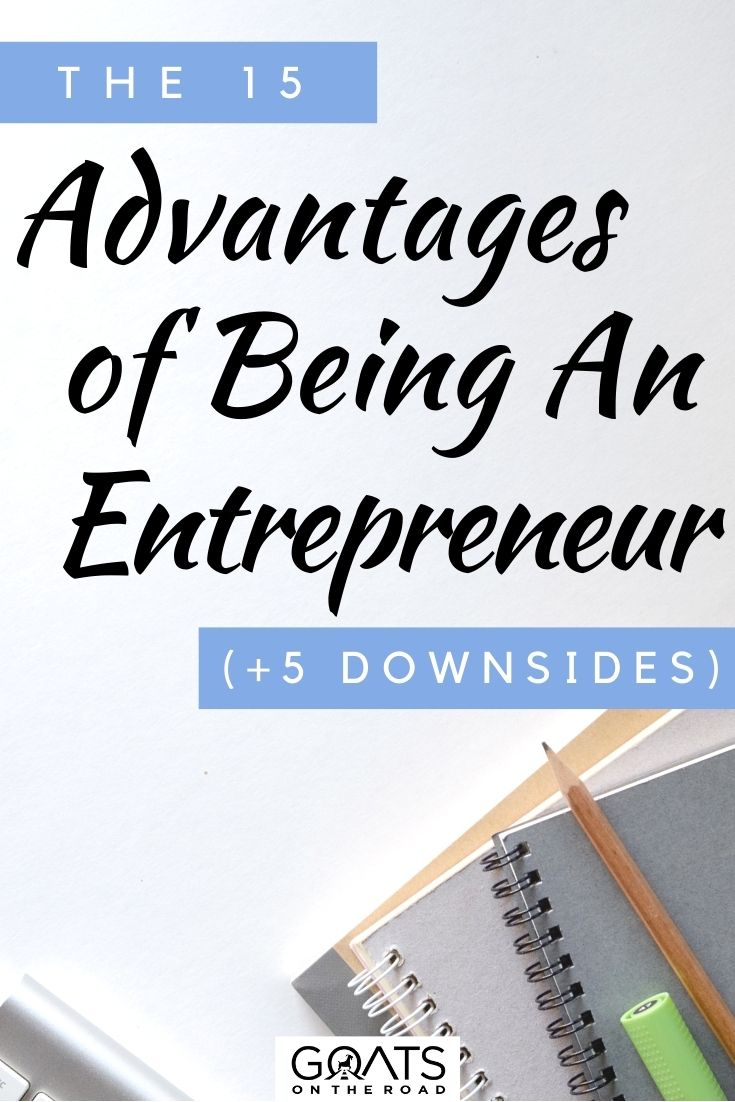 essay about advantages and disadvantages of being an entrepreneur