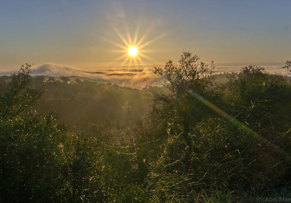 best things to do in oaxaca go hiking in sierra norte