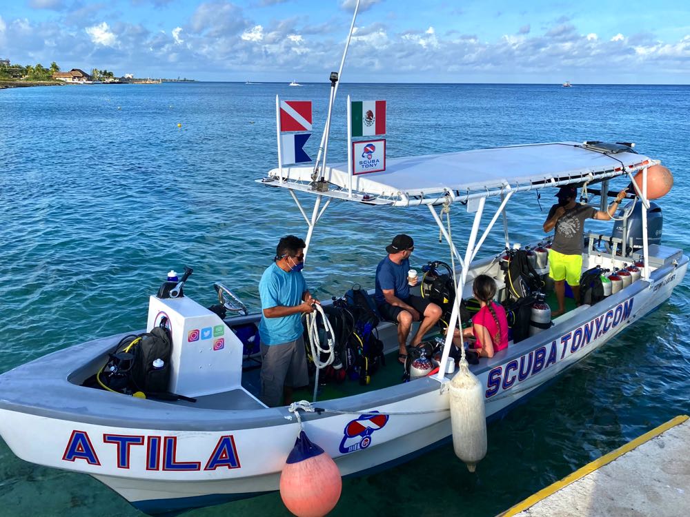 scuba diving in cozumel with scuba tony