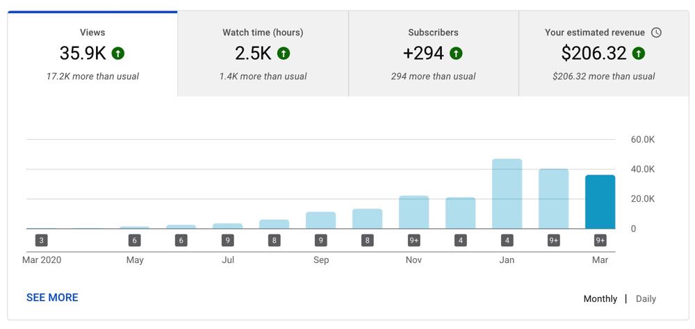 YouTube Stats New NIche Site Case Study