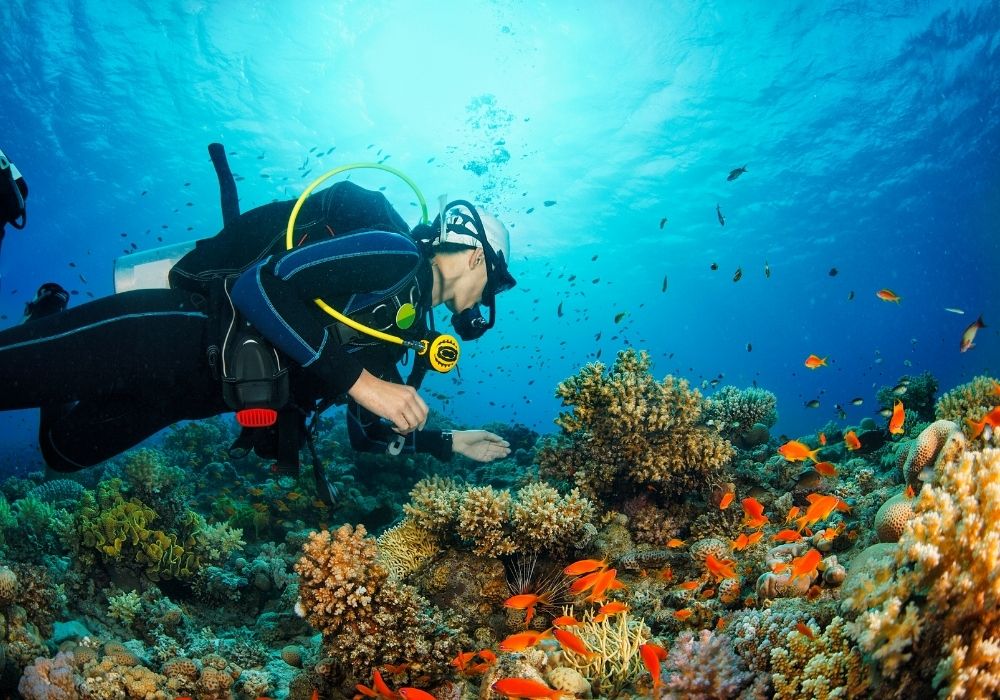 Scuba diving in Mexico