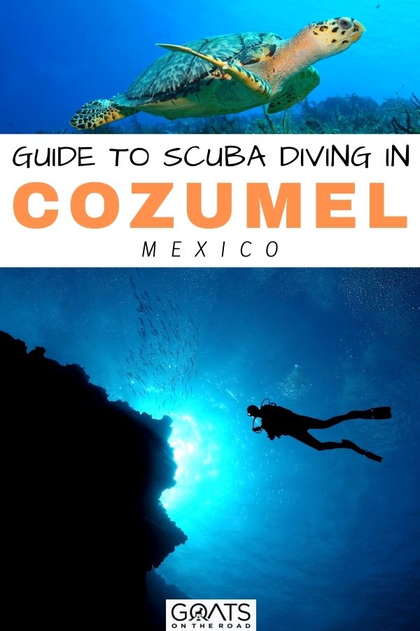 “Guide To Scuba Diving in Cozumel, Mexico