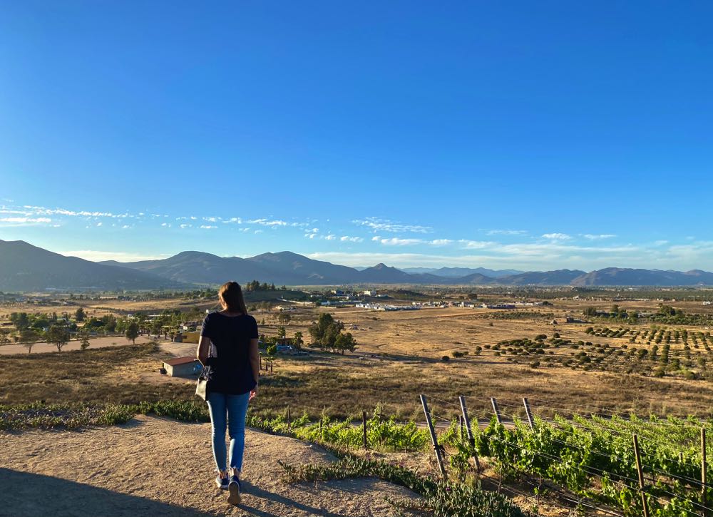 once pueblos travel valle de guadalupe