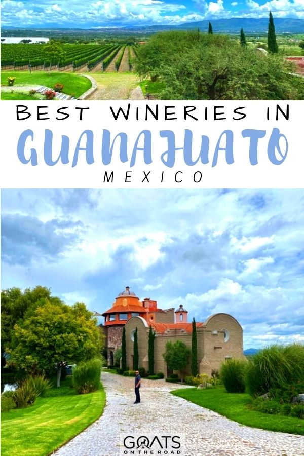 “Best Wineries in Guanajuato, Mexico