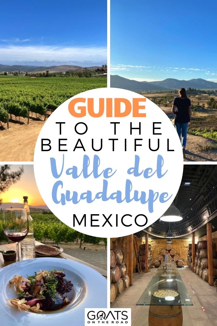 tours al valle de guadalupe