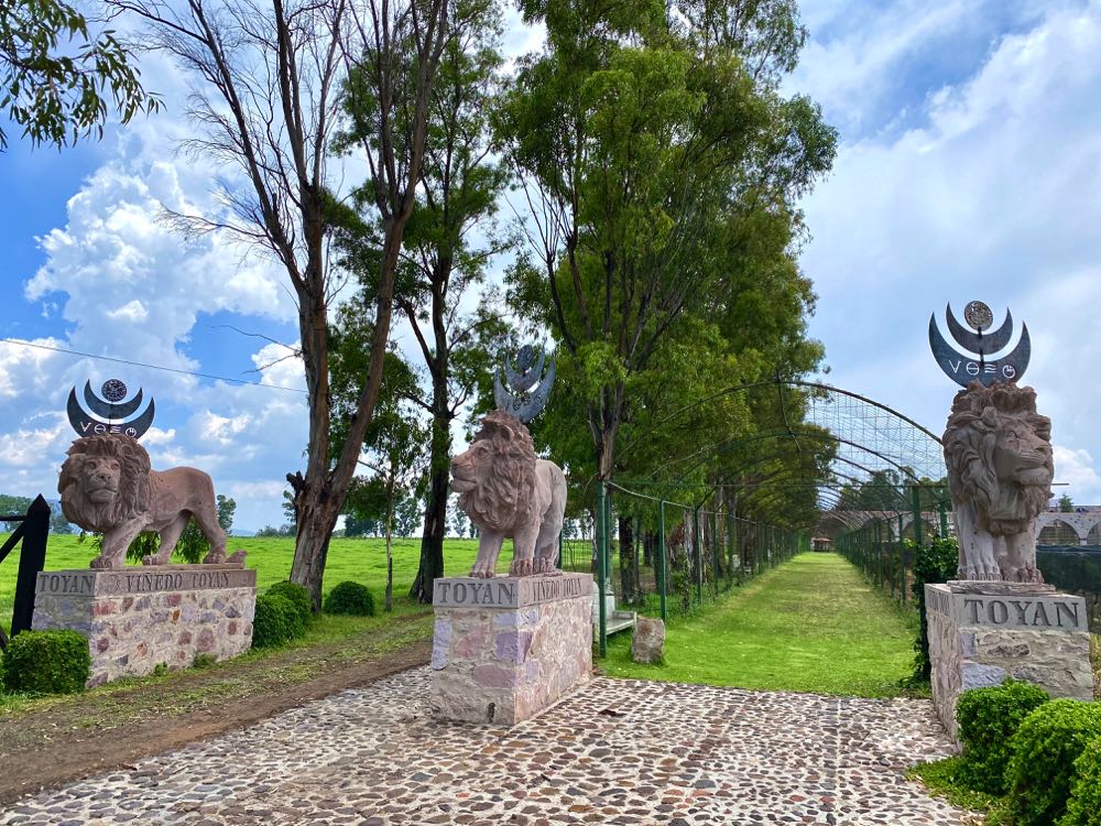 entrance to rancho toyan winery in guanajuato