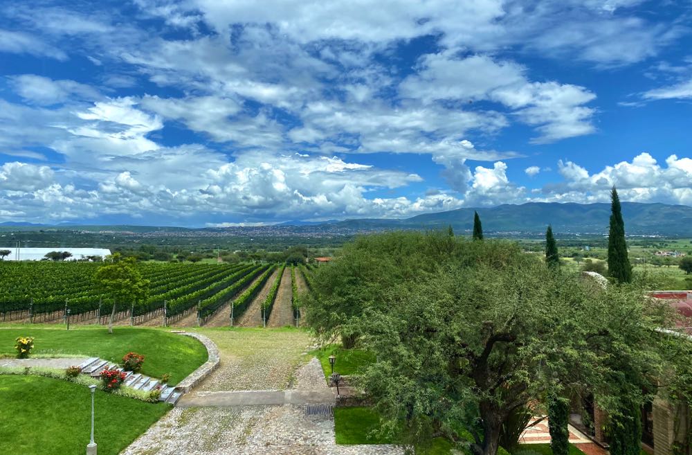 Hacienda San Jose Lavista, one of the best wineries in San Miguel de Allende