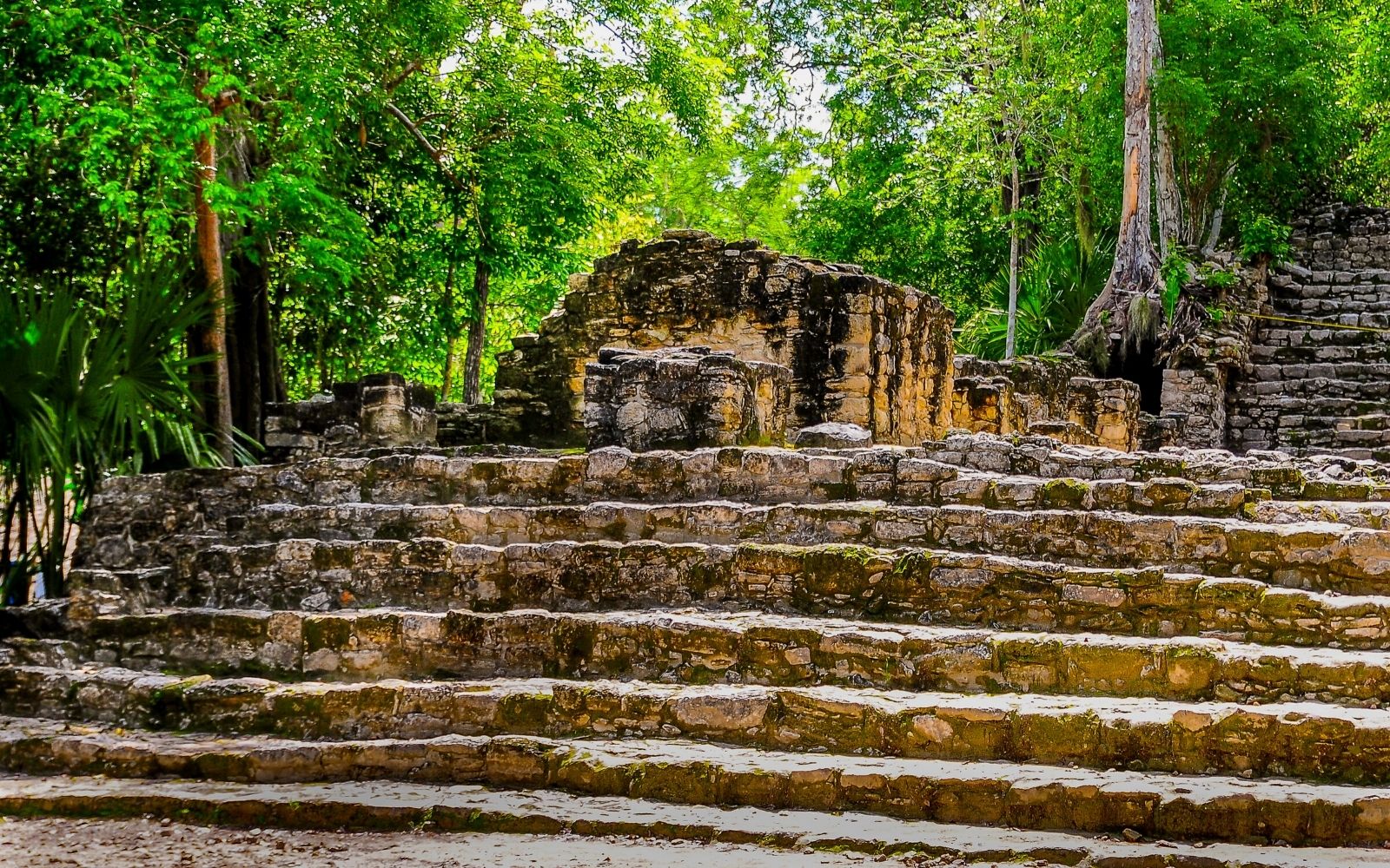 Visiting Coba, Mexico A Guide To The Mayan Ruins Goats On The Road