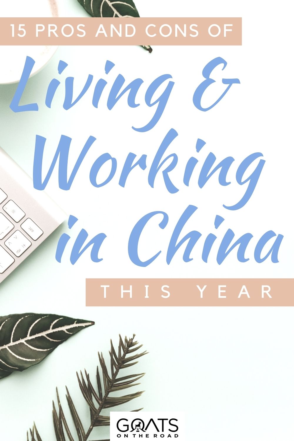 “15 Pros and Cons of Living and Working in China