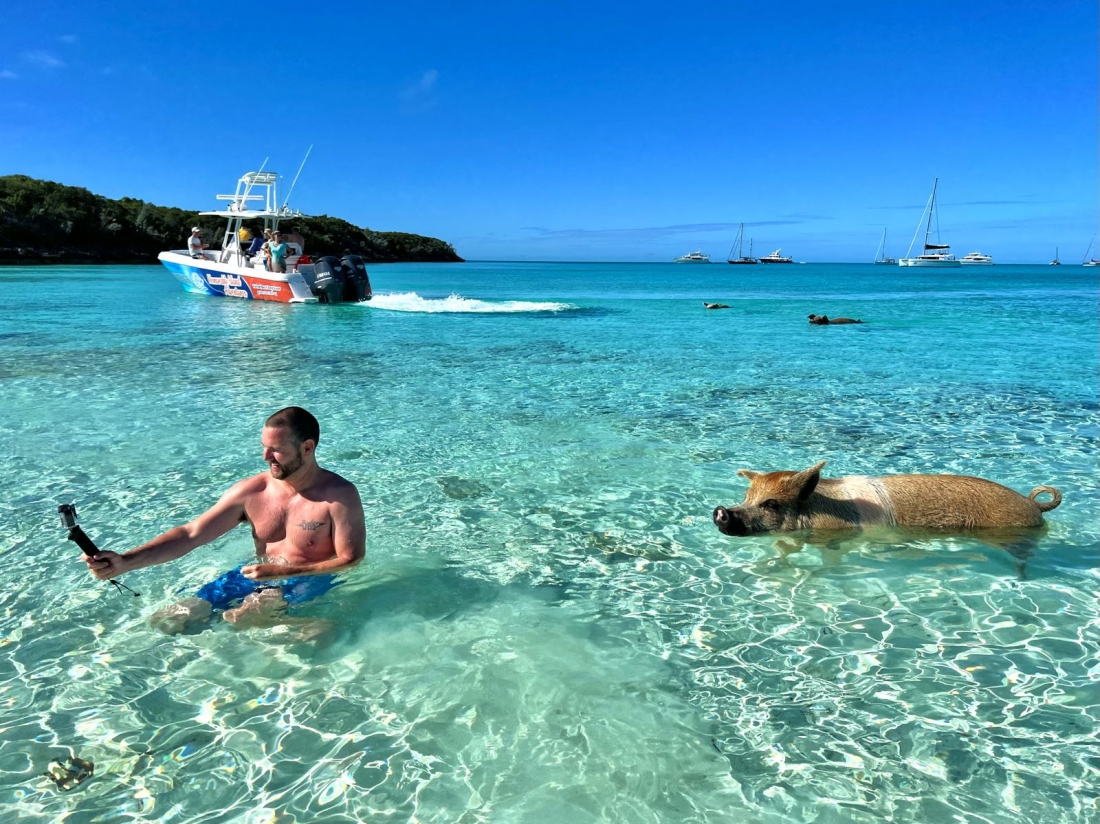 bahamas trip to swim with pigs