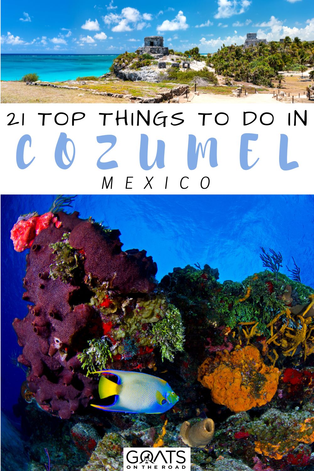 Heading to the tropics of Mexico? Here are the 21 top things to do in Cozumel, Mexico! Find out where to go and explore this stunning island of Yucatan. Everything from pristine beaches, where to eat, ancient ruins, nature, and more! Don't miss these great things to do in Cozumel. | #mexico #mexicotravel #beautifuldestinations “21 Top Things to Do in Cozumel, Mexico