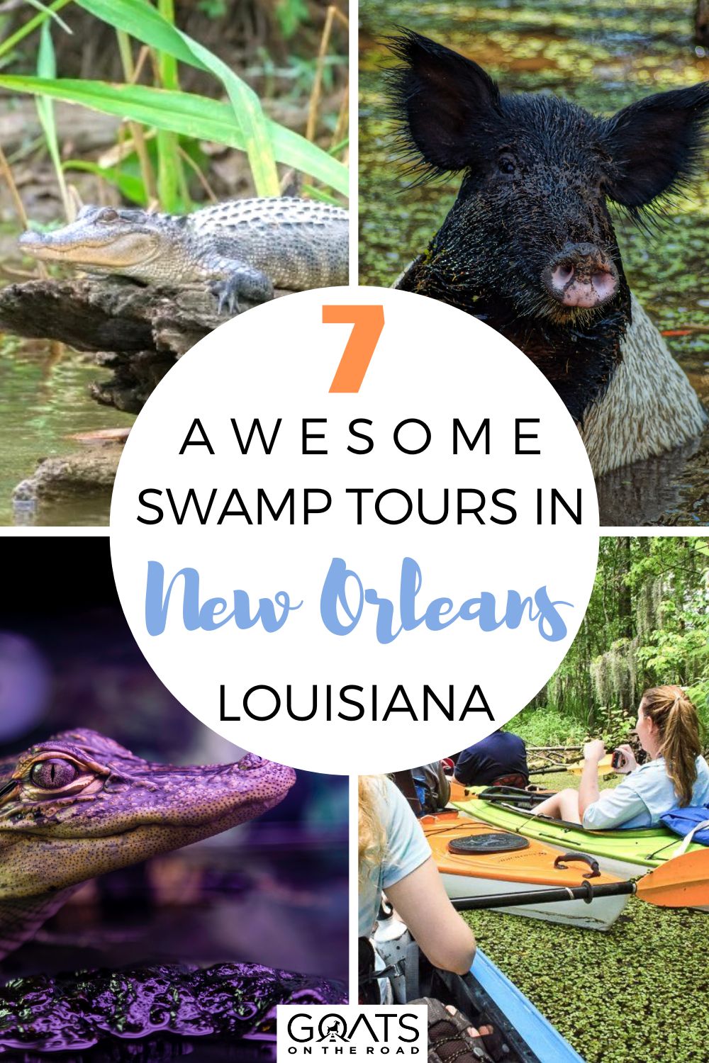 ALLIGATORS VS. CROCODILES  New Orleans Kayak Swamp Tours