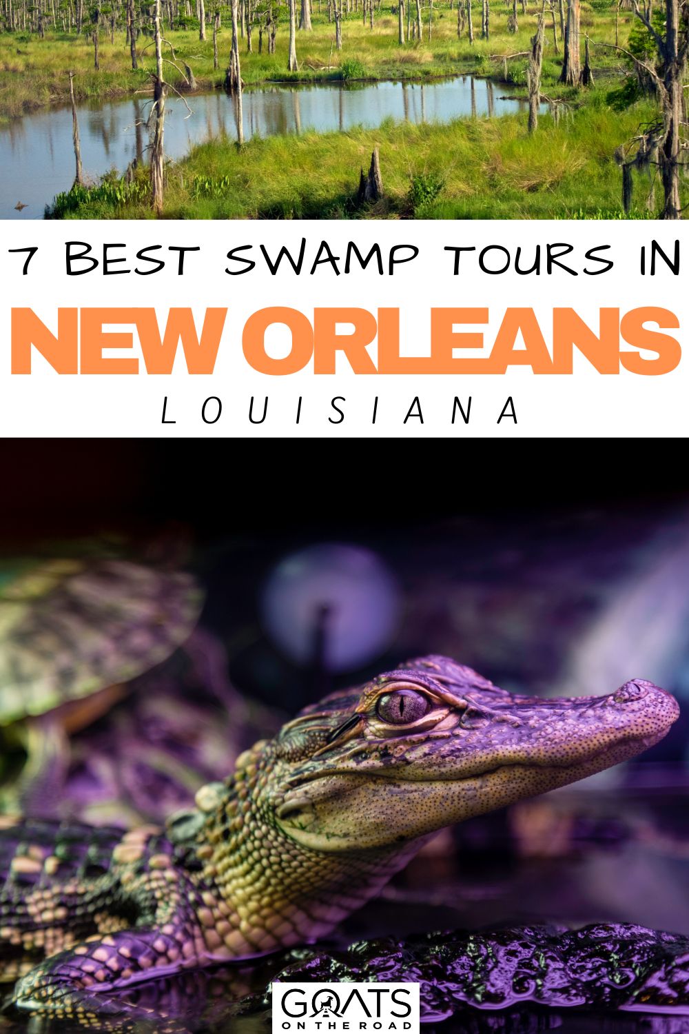 “7 Best Swamp Tours in New Orleans, Louisiana