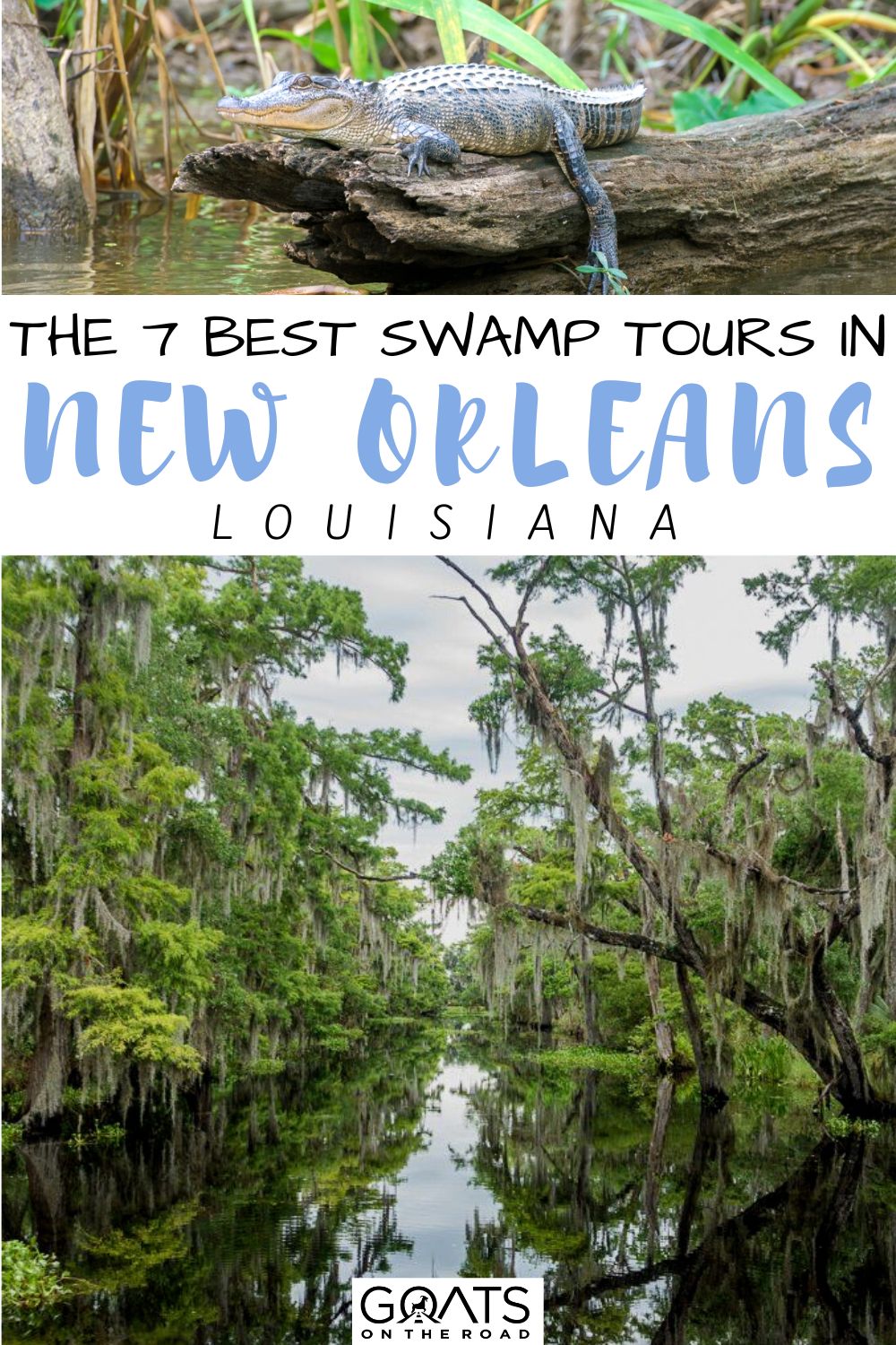 “The 7 Best Swamp Tours in New Orleans, Louisiana