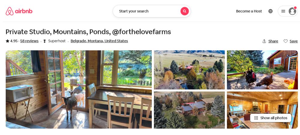 airbnbs in bozeman mt