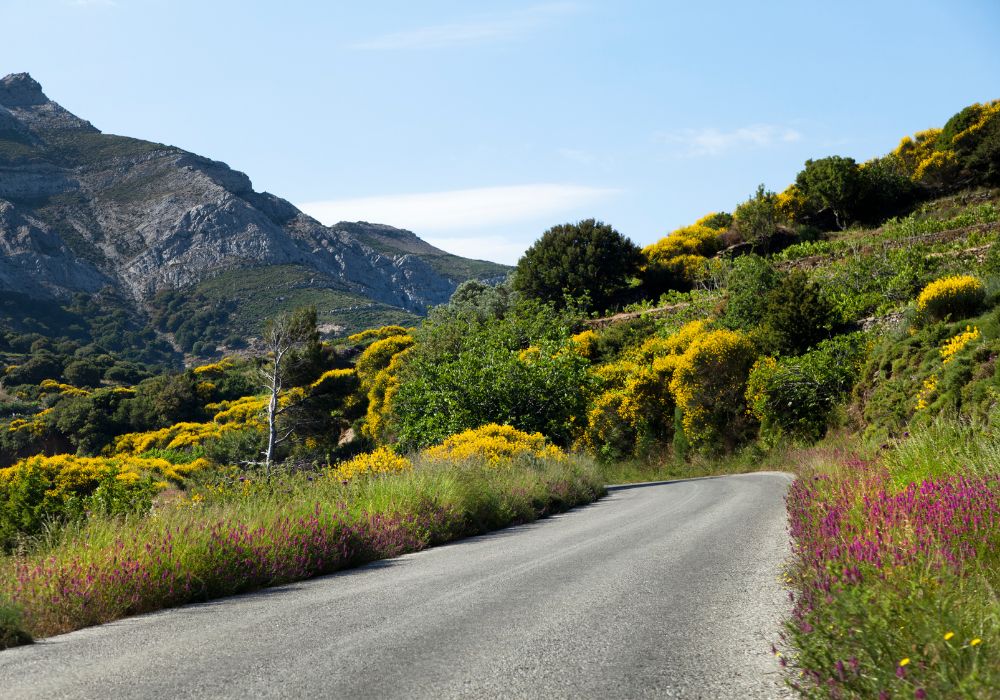 Cycling through the countryside is one of the cool things to do in Naxos