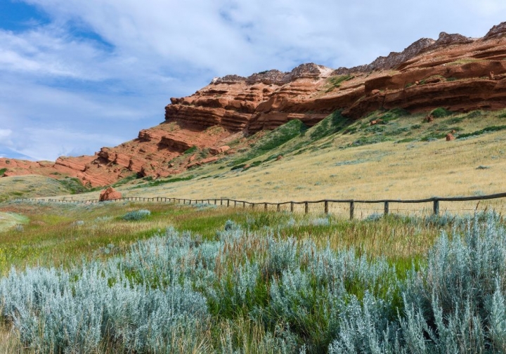 15 Best Things to Do in Billings, Montana, in 2023 Goats On The Road