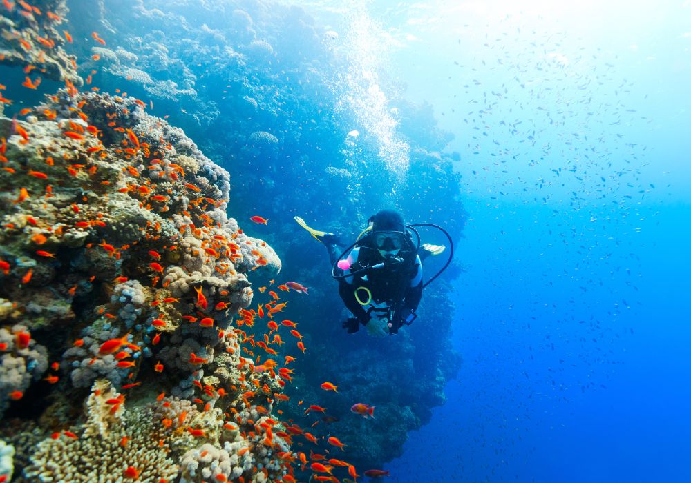 Scuba diving is one of the unique things to do in Naxos.