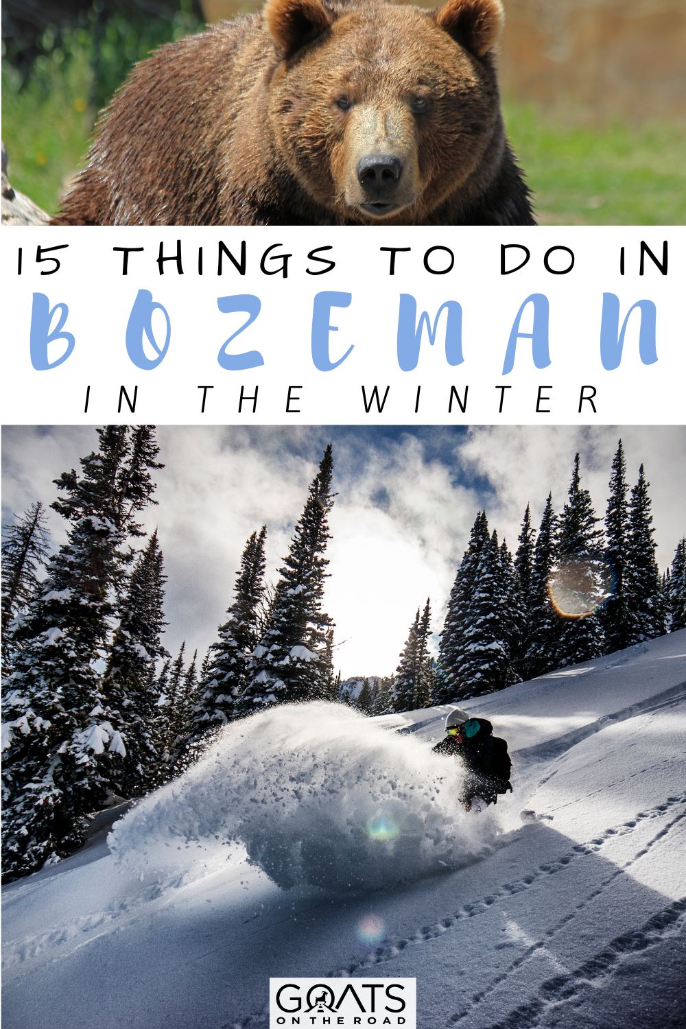 “15 Things To Do in Bozeman in The Winter