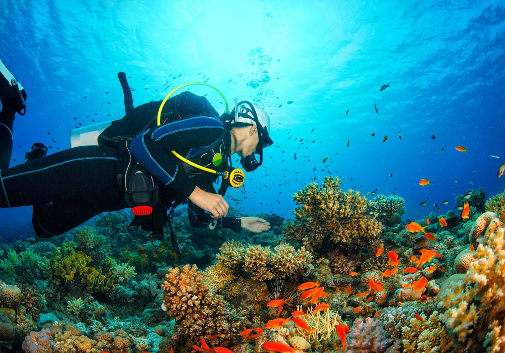 Nyuli Reef in Shimoni