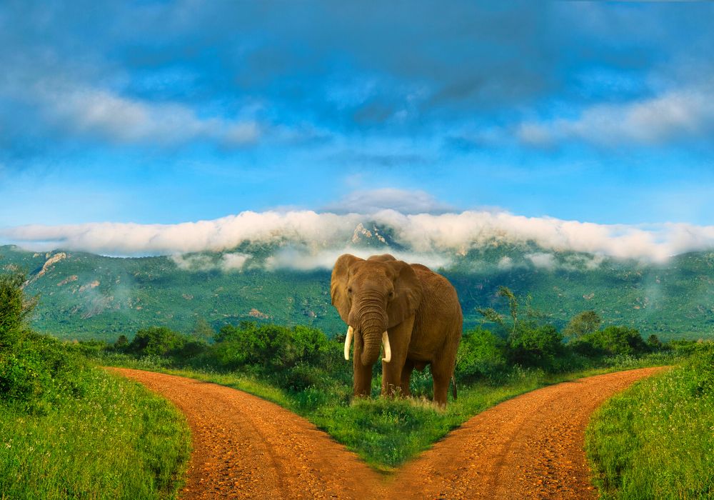 Tsavo East National Park