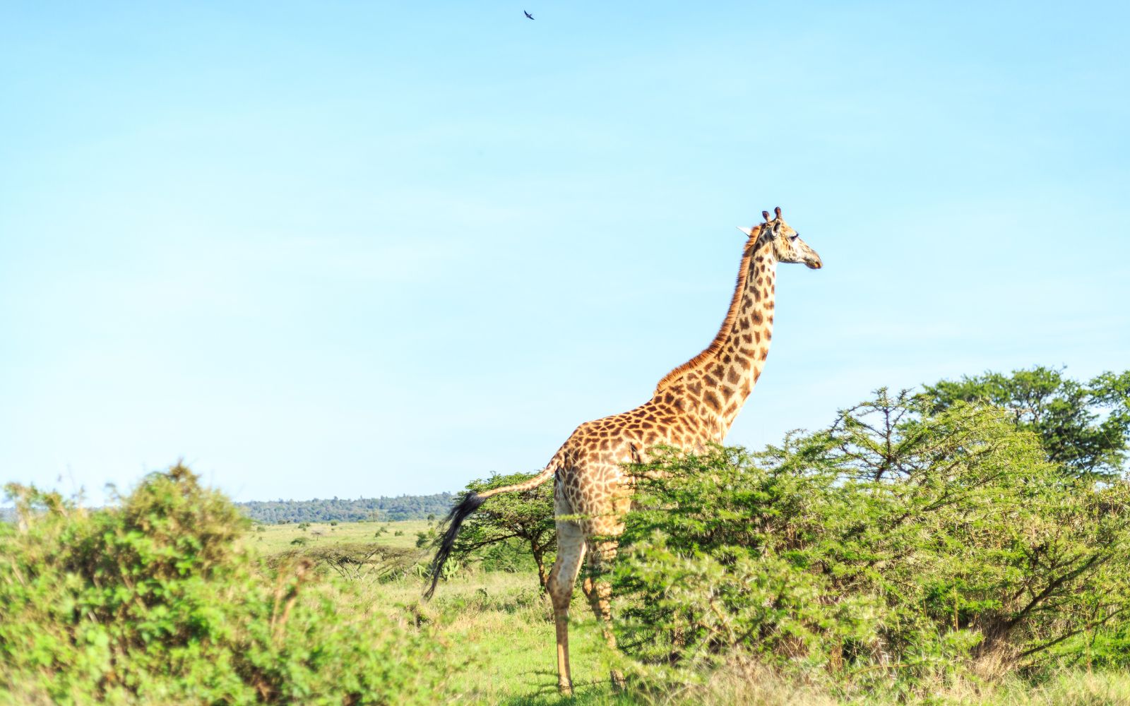 25 Exciting Things To Do in Nairobi