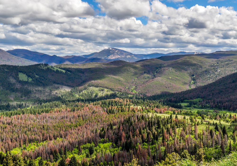 White clouds float in the blue skies above the Montana mountains outside of Helena.